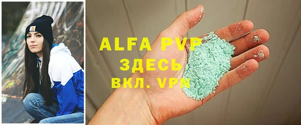 прущие грибы Абаза