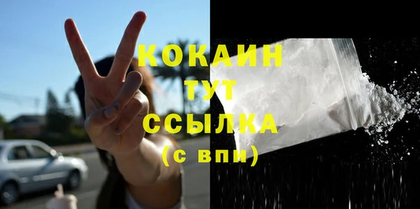 прущие грибы Абаза