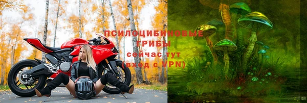 прущие грибы Абаза