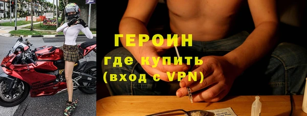 прущие грибы Абаза