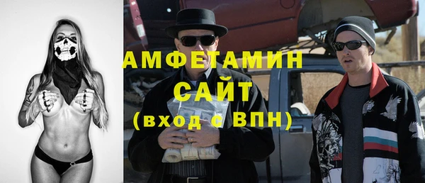 прущие грибы Абаза